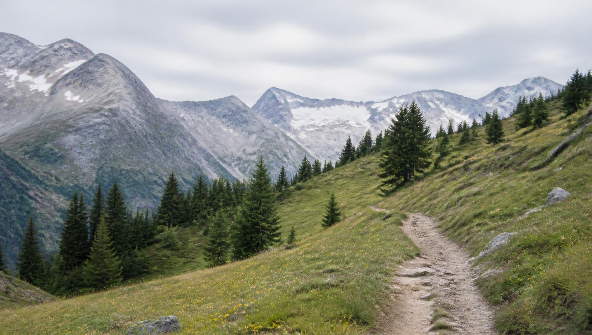 Alpiner Wanderweg mit Bergpanorama
